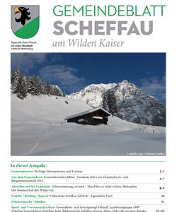 110. Ausgabe - Dezember 2015-Homepage.pdf